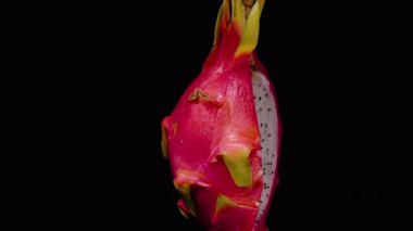 Tüm Pembe Ejderha Meyvesi, Siyah Tohumlarla Siyah Arkaplan, Egzotik Tropikal Meyve Konseptine Karşı Siyah Tohumları Gösterirken Döngüde Dönüyor