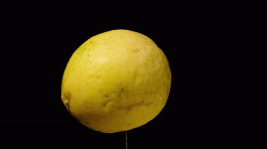 Koyu Arkaplan Karşısında Dönen Tüm Sarı Tutku Meyvesi Pürüzsüz Cilt ve Yuvarlak Şekil Gösteren Taze Tropikal Üretim Konsepti