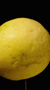 Dikey video. Koyu Arkaplan Karşısında Dönen Tüm Sarı Tutku Meyvesi Pürüzsüz Cilt ve Yuvarlak Şekil Gösteren Taze Tropikal Üretim Konsepti