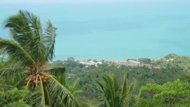 Hindistan cevizi palmiyeleri ve kıyı yerleşiminin geniş görünümü Parlak Gök Altında Turkuaz Deniz Yükseltilmiş Açı, Ada Cenneti Konsepti