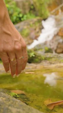 Dikey video. Düşük Açı, Doğa Bağlantısı, Yosun ve Bitkilerle çevrili Rocky Ormanı 'ndaki Sığ Yeşil Su Yakından Bakış Alanı