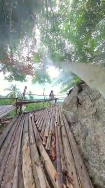 Dikey video. Koh Samui 'de Ağaç Tepesi Vadisi ve Okyanusla çevrili Tahta Platformda Oturan Kadın Geniş Açı Konsept Rahat Macerada Yakalandı