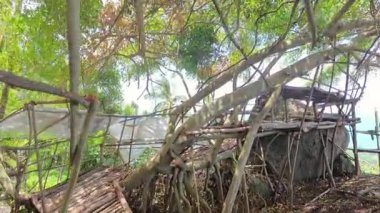 Ağaçlar Arasında İnşa Edilmiş Ahşap Platform Yapısı Yakından Görünür Koh Samui Uzaktan Görülebilir Koh Samui Geniş Açı Kavramsal Macerada Yakalandı