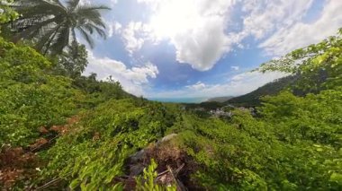 Koh Samui 'de Parlak Gök Altında Palmiye Ağaçları ve Uzak Okyanus Altında Yeşil Tepe Görünümü Geniş Açı Konsept Tropikal Manzarada Yakalandı