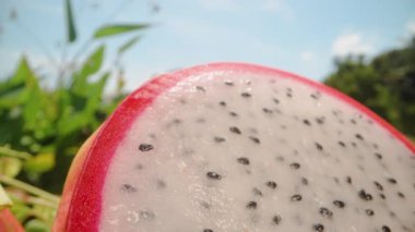 Dilimlenmiş Ejderha Meyvesi 'nin Yeşil Yapraklar ve Mavi Gök' e Karşı Beyaz ve Siyah Tohumlu Yakından Bakışı, Çekici, Egzotik Tropikal Üretim Konsepti