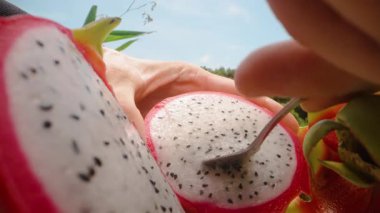 Yeşil Bitkilerle çevrili Yarı Ejderha Meyvesi 'nden Beyaz Hamur' a El ile Kaşık Kullanımı, Kukla kaydırma, Taze Atıştırmalık Kavramı