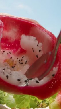 Dikey video. El Kepçeleme Boş Kırmızı Ejder Meyve Kabuğundan Kalan Beyaz Pulp Bahçede Kaşıkla, Kukla kaydırma, Doğal Gıda Konsepti
