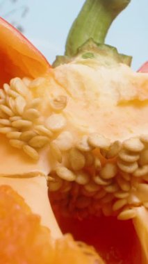 Dikey video. El Tutma Yarım Portakal Çanı Biberi Parlak Bahçe Işığında Tohumları ve Kökü Gösterme, Kuklayı Kapama, Taze Hasat Konsepti