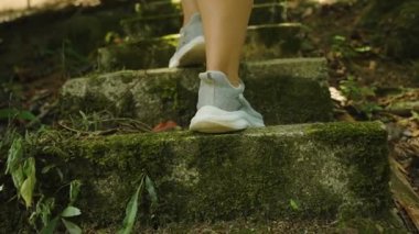 Düşük Açı, Yavaş Hareket, Yürüyüş ve Keşif Alanında Arkadan Yakalanmış Ormandaki Yosun kaplı Taş Basamakları