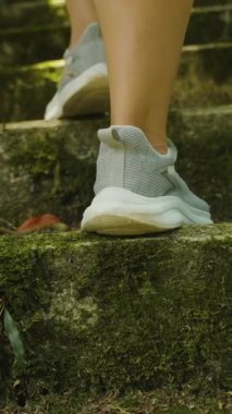 Dikey video. Düşük Açı, Yavaş Hareket, Yürüyüş ve Keşif Alanında Arkadan Yakalanmış Ormandaki Yosun kaplı Taş Basamakları