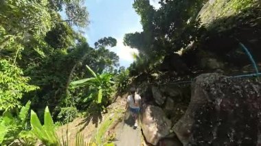 Sarp Palmiye Ağaçları ve Parlak Gök Altında Bereketli Sebze, Geniş Açı, Tropikal Keşif Konsepti ile çevrili Rocky Yolu 'nda Tepeye Yürüyen Kadın