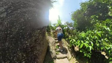 Ormanla çevrili, Muz Ağaçları ve Uzak Gökyüzü Görünümü, Geniş Açı, Doğa Mücadelesi Konsepti