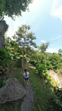 Dikey video. Büyük Ağaç Dalları Altında Gölgeli Tropikal Bahçede Yoğun Bakış, Geniş Açı Görüş, Doğa Kaçışı Konsepti
