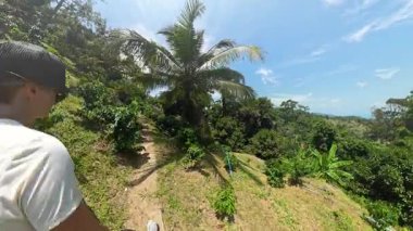 Yoğun Yeşil Tropikal Alan, Geniş Açı, Egzotik Seyahat Konsepti 'nde Büyük Asılı Hindistan cevizleri ile Tepe Üzerinde Yürüyen Kadın