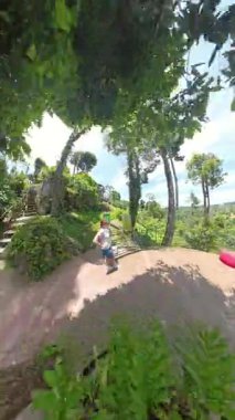 Dikey video. Lush Vines and Leaves, Delik Gezegeni Efekti, Doğal Çerçeve Konsepti tarafından Çerçevelenmiş Dairesel Ağaç Gövdesinden Görülen Tahta Terasta Duran Kadın