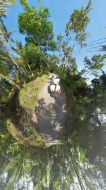 Dikey video. Scooter 'da Erkek Sürücünün Arkasında Yolcu rolünde Kadın Minik Gezegen Görünümünde Yoğun Palmiye Ağaçlarıyla çevrili, Tropikal Keşif Konsepti