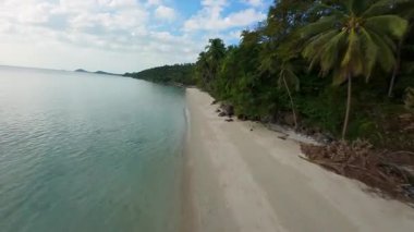 Kristal berrak su ve gür palmiye ağaçları, FPV insansız hava aracı alçak irtifa, Tropikal cennet konsepti