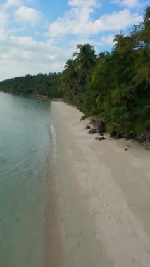 Dikey video. Kristal berrak su ve gür palmiye ağaçları, FPV insansız hava aracı alçak irtifa, Tropikal cennet konsepti