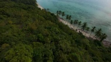 Dinamik FPV İnsansız Hava Aracı Yoğun Tropikal Orman üzerinde Temiz Su, Aşırı Uçuş, Vahşi Doğa Konsepti ile Sahil Bölgesine Uçuyor