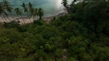 FPV İnsansız Hava Aracı Tropikal Palm Coast üzerinde yarışıyor. Güneş ışığı su yüzeyine yansıyor. Hızlı İleri Hareket, Kıyı Keşfi Konsepti.