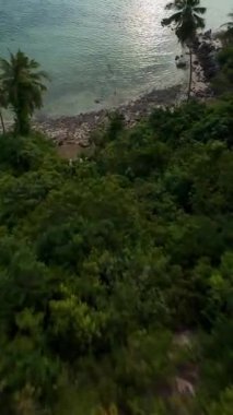 Dikey video. FPV İnsansız Hava Aracı Tropikal Palm Coast üzerinde yarışıyor. Güneş ışığı su yüzeyine yansıyor. Hızlı İleri Hareket, Kıyı Keşfi Konsepti.