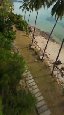 Dikey video. FPV İnsansız Hava Aracı Yeşil Uçurumun ve Dar Sahil Çizgisinin Üzerinde Kristal Deniz, Yüksek Hız Eğrisi, Orman Sahil Kavramı ve Palmiye Ağaçlarıyla Saldırıyor