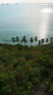 Dikey video. Okyanus Ufku ve Palmiye Ağacı Kıyısı 'nın Havadan Görüntüsü Güneş Işığı Suyun Üzerinde Yansıyor, İnsansız Hava Aracı Hover, Ada Huzuru Konsepti