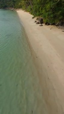 Dikey video. Rocky Sahili 'nin üzerindeki Hindistan cevizi palmiyesi manzarası ve Günbatımındaki açık sığ deniz, Tropikal sakin konsept