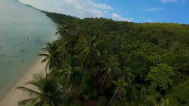 Palmiye ağaçları ve temiz yeşil suyu olan tropikal kıyı şeridi, sahil boyunca insansız hava aracı uçuşu, uzak ada konsepti