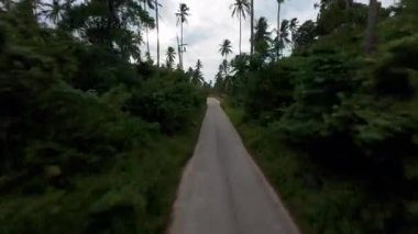 Hindistan Cevizi Palmiyeleri ve Bulutlu Gökyüzü Ada Yolculuğu Konseptiyle Tropikal Ormanda Dar Yol