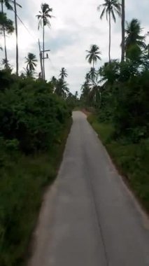 Dikey video. Hindistan Cevizi Palmiyeleri ve Bulutlu Gökyüzü Ada Yolculuğu Konseptiyle Tropikal Ormanda Dar Yol