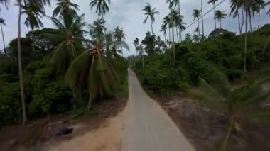 Ender Hindistan cevizi palmiye ağaçlarının arasından geçen sarmal beton yol Bulutlu gökyüzü altında, uzak ada yolu konsepti