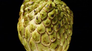 Şekerleme Elma Yüzeyinin Siyah Arkaplan Karşısında Dönen Yeşil Çarpışmalar ve Ölçekli Şekil Gibi Yakın Çekimi, İzole Tropikal Meyve Dokusu Konsepti