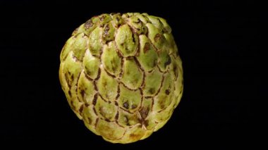 Şekerli Elma 'nın Siyah Arkaplanda Dönüşünü Ortalarda Kremalı Et ve Tohumları Gösterme, İzole Stüdyo Meyvesi Döngüsü, Tropikal Beslenme Konsepti