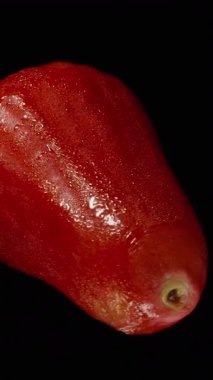 Dikey video. Pırıltılı Cilt ve Eğri Şekil, Egzotik Meyve Kavramını Döndüren Gül Elması Siyah Arkaplanda Dönüyor