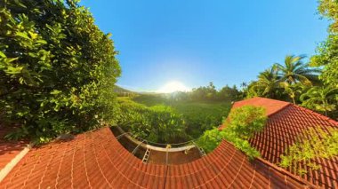 Küresel Panorama 'da 360 Derece Tropikal Günbatımı Gökyüzü Görünümü Yoğun Yeşil Orman ve Avuç Ağaçları Önplanda Gün Batımı Zaman Çizelgesi