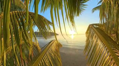 Sakin Deniz Üzerindeki Günbatımı Yoğun Palmiye Yaprakları tarafından Çerçevelenmiş Açık Ufuk Tropikal Gün Batımı Zaman Çizelgesi ile Altın Işıkta