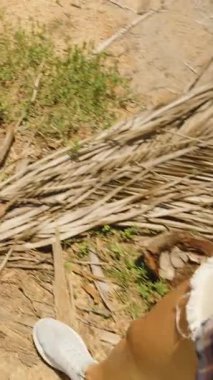 Dikey video. Palm Leaves in Parlak Günışığı Altında Kuru Yerde Yürüyen Adam 'ın İlk Görüş Alanı