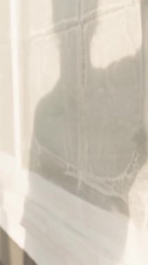 Dikey video. Sünger ve sabun ile Elle Temizleme Penceresi Ekranı Bulanık Arkaplan ile Yakın plan