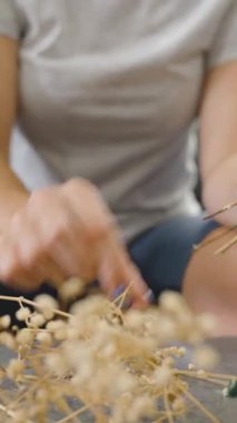 Dikey video. Mavi Tırnaklı Kuru Dalları Tutan Kadının Kapanışı, Odaklanma Açısı, Ev Dekorasyonu Konsepti