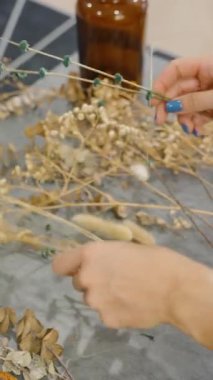 Dikey video. Gri Masadaki Kuru Kökleri Vazoyla Sıralayan Kadın, Yakın Açı, Ev Dekorasyonu Konsepti