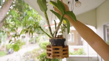 El Püskürtme Saksısı Suyu Balkonda Sarı Şişe Kullanıyor, Bitki Bakımı Konsepti