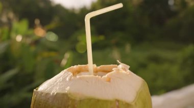 Tropikal Yeşil Arkaplan ve Parlak Güneş Işığına Karşı Yavaş Harekette Saman Tutulan Taze Hindistan cevizi