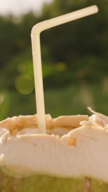 Dikey video. Tropikal Yeşil Arkaplan ve Parlak Güneş Işığına Karşı Yavaş Harekette Saman Tutulan Taze Hindistan cevizi