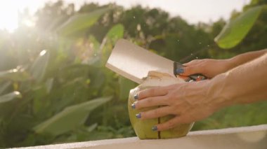 Kadın Beyaz Yüzeyde Meyve Tutarken Yavaş Çekimde Su Sıçratarak Taze Hindistan cevizini Vuruyor