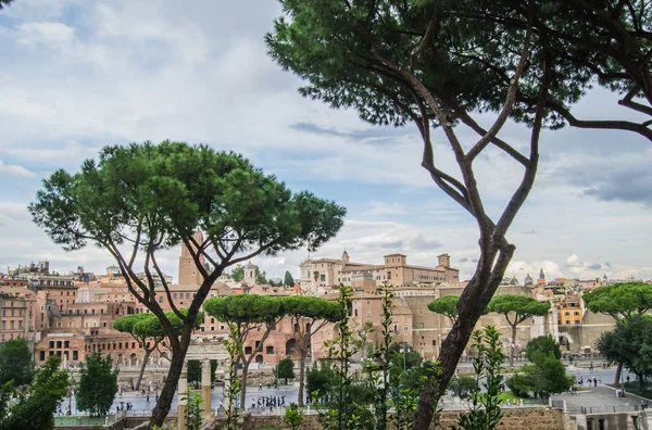 Rome Italie Paysage Urbain Avec Des Pins — Photo