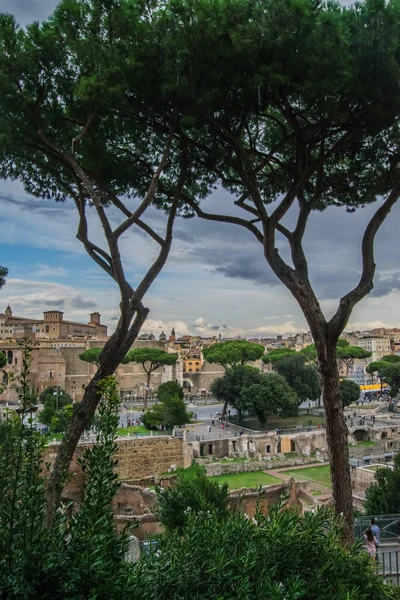 Rome Italie Paysage Urbain Avec Des Pins — Photo