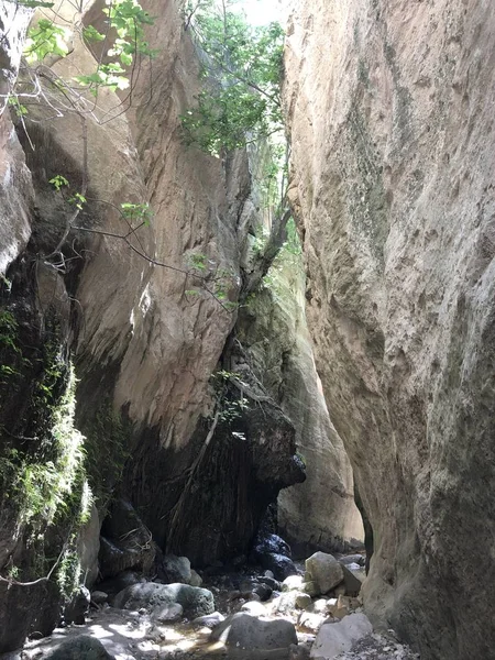 Avakas Ущелині Каньйон Акамас Кіпр Недалеко Від Пафосу — стокове фото