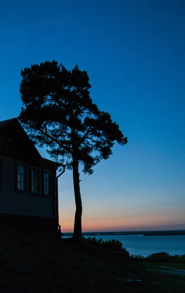 Silueta Una Casa Árbol Contra Cielo Del Atardecer — Foto de Stock