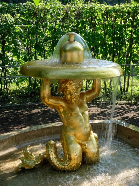 26 Juli 2020 - Peterhof, Rusia: Fountain Angel of the Lower park of Peterhof — Stok Foto